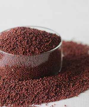 Himalayan Finger Millet/ Ragi