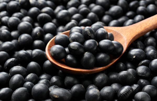 Himalayan Black Soyabean