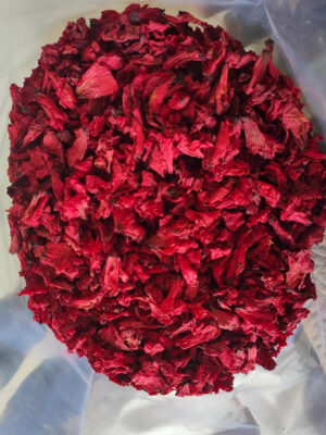 Himalayan Rhododendron Flower Dried
