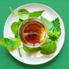 Himalayan Nettle Leaves Tea