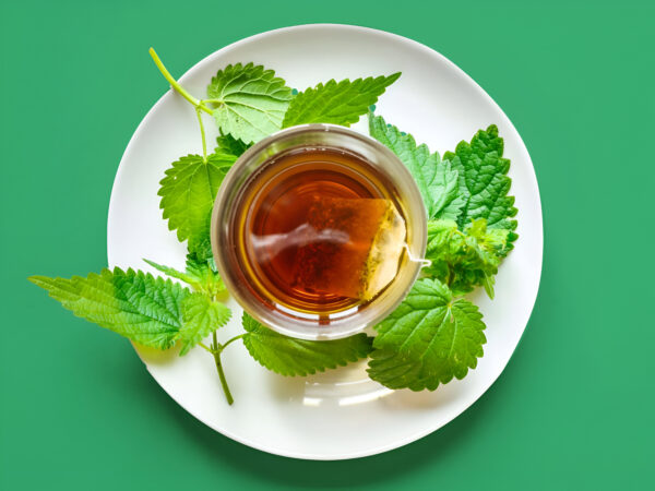 Himalayan Nettle Leaves Tea